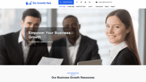 Biz Growth Hub Lite (WordPress)