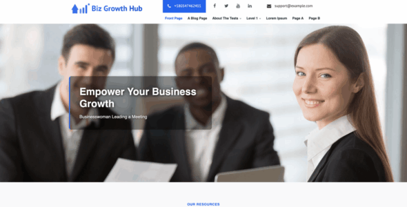 Biz Growth Hub Lite (WordPress)