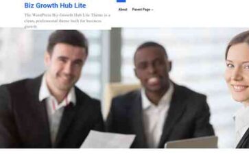 Biz Growth Hub Lite (screenshot desktop)