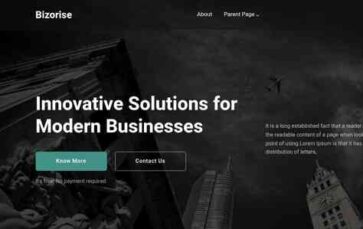 Bizorise (screenshot desktop)