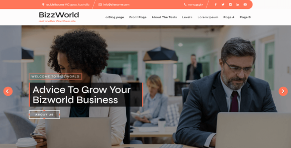 Bizworld Lite (WordPress)