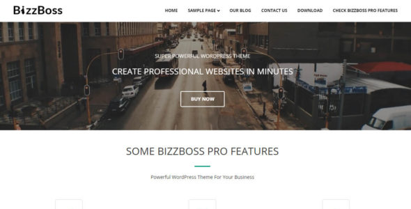 Bizzboss (WordPress)