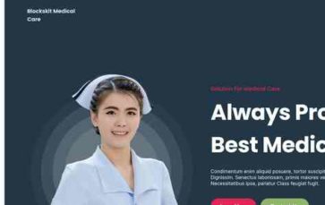 Blockskit Medical Care (screenshot desktop)