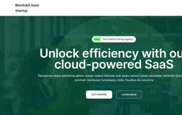 Blockskit Saas Startup (screenshot desktop)