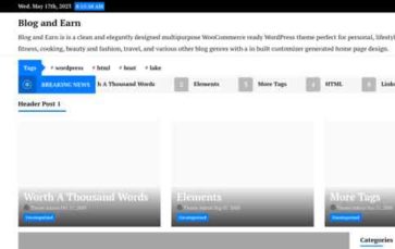 Blog and Earn (screenshot desktop)