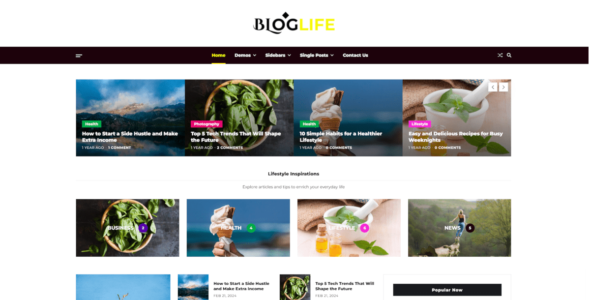 Bloglife (WordPress)