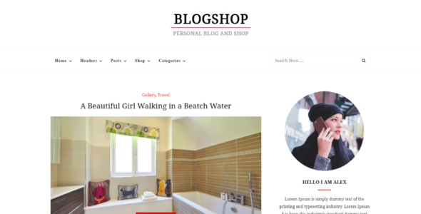 Blogshop (WordPress)