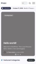 Blogsy (screenshot mobile)
