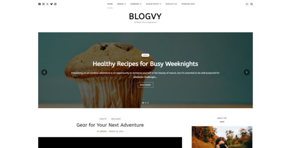 Blogvy (WordPress)