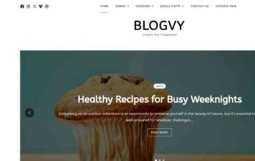 Blogvy (screenshot desktop)