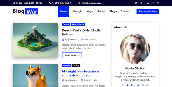 BlogWar (WordPress)