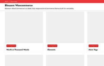 Blossom Woocommerce (screenshot desktop)