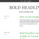 Bold Headline (WordPress)