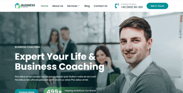Bosa Business Coach (WordPress)