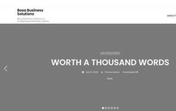 Bosa Business Solutions (screenshot desktop)