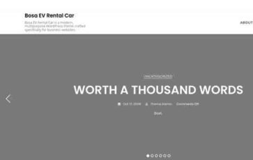 Bosa EV Rental Car (screenshot desktop)