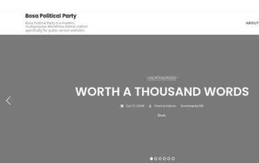 Bosa Political Party (screenshot desktop)
