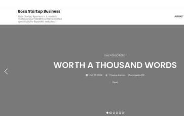 Bosa Startup Business (screenshot desktop)