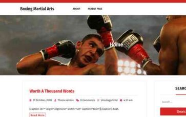 Boxing Martial Arts (screenshot desktop)