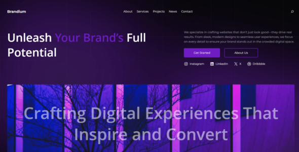 Brandium (WordPress)