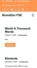 BrandZen FSE (screenshot mobile)