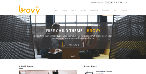 Brovy (WordPress)