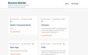 Buconz Starter (screenshot desktop)