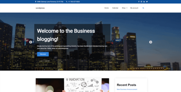 Business Blogging (WordPress)