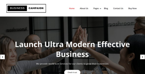Business Campaign (WordPress)