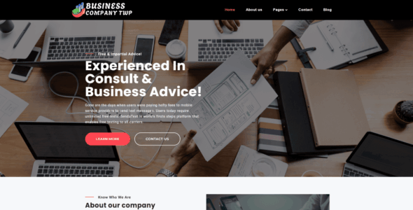 Business Company TWP (WordPress)