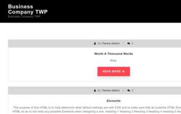 Business Company TWP (screenshot desktop)