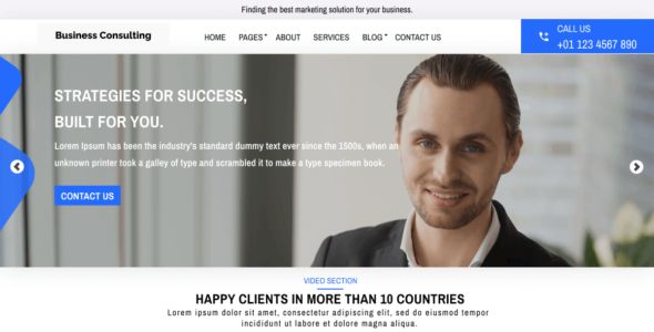 Business Consulting Agency (WordPress)