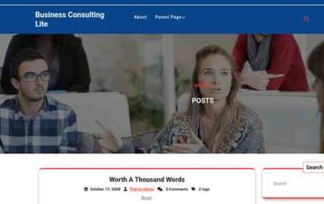 Business Consulting Lite (screenshot desktop)