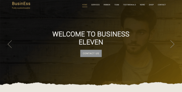 Business Eleven (WordPress)
