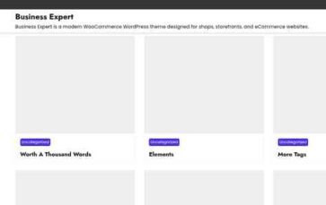 Business Expert (screenshot desktop)
