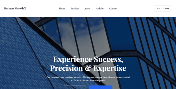 Business Growth X (WordPress)