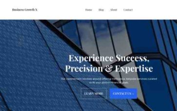 Business Growth X (screenshot desktop)