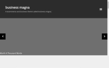 Business Magna (screenshot desktop)