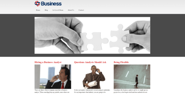 Business Mind (WordPress)