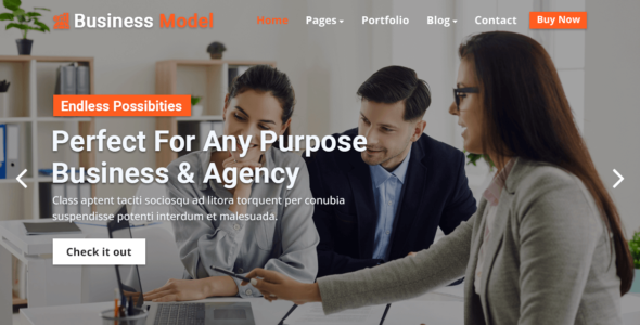 Business Model (WordPress)
