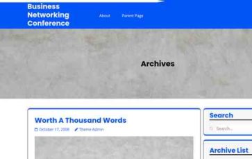 Business Networking Conference (screenshot desktop)