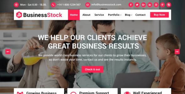 Business Stock (WordPress)
