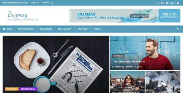 Buzmag (WordPress)