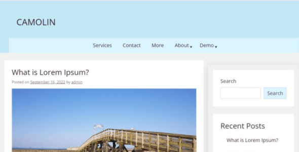 Camolin (WordPress)
