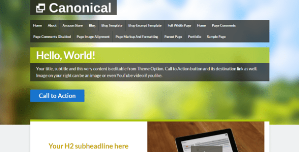 Canonical (WordPress)