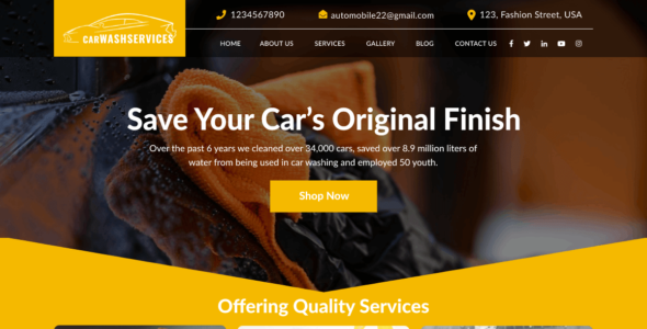 Car Paint Job (WordPress)