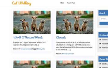Cat Walking (screenshot desktop)