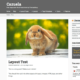 Cazuela (WordPress)