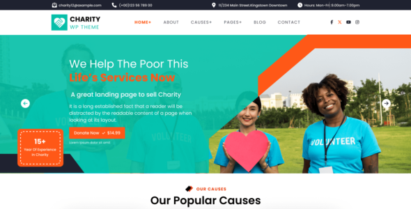 Charity Aid (WordPress)