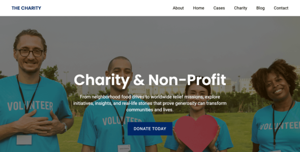 Charity and Nonprofit (WordPress)